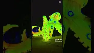 Sydney Social Events Single Chat
