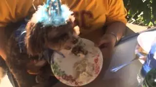Hercule Hogans' birthday party
