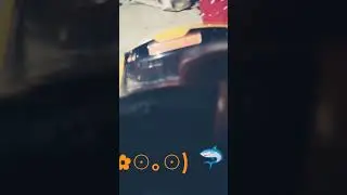 ia8x 🤣🤣🤣🦈