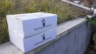 💥LIVE MEGA UNBOXING-SORPRESA DI GIARDINO CARNIVORO CON PIANTE CARNIVORE IN PACCO GIGANTE👈