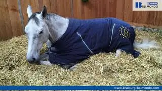 BELMONDO rubber floorings for horses 1280x720 0719 web
