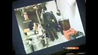 Sgominata la banda dei tir ad Andria: sei rapine in un anno