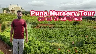 Puna Nursery Tour ।। Nursery Visit , इतने सस्ते पौधे कही नही मिलेगे ।।  #GardenCareTips