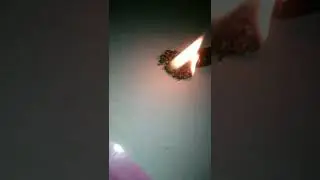 #sofamousent