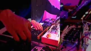 Powerful Analog Synth Tones with Minibrute 2s & Korg Monologue