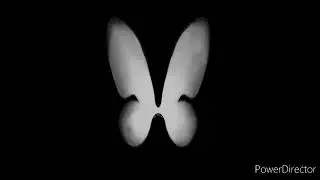 Silver Beautiful Moth & Butterfly Wings Black Screen Effects