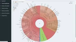 R Shiny Docker Demo Web APP