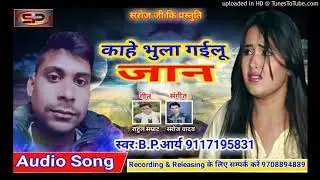 B.P.ARYA best sad song😭😭😭😭 ,Bhojpuri industry ka best sad song ,,real story pr dependent