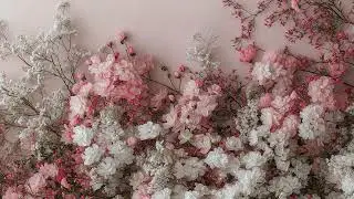 4k Peach and White Flowers Tv Screensaver | Wallpaper