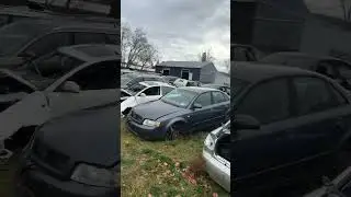 Audi/VW/Porche Junk Yard. They have literally everything!