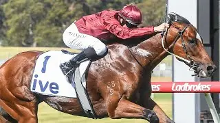 2023 C.F. Orr Stakes