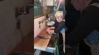 Buying fresh fish in japanese wet market #japan  #freshfish #freshfishmarket #japanfreshfish