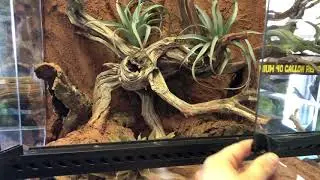 Exo Terra 24-18-18&rdquo; Leopard Gecko Terrarium