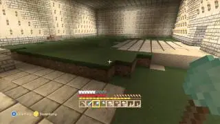 Minecraft #16 (void's island paradise)