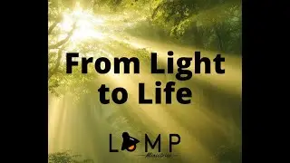 LAMP Live 01/11/2026 | God Makes Jesus Known