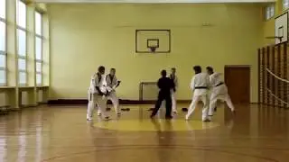 Taekwondo girl fights like Bruce Lee