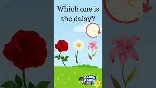 Guess the Flower! | Fun Flower Quiz for Kids 🌸 | Preschool Learning Game