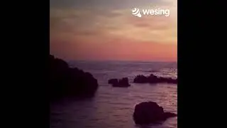 #wessing#kopidangdut#music#coversong#liriklagu 