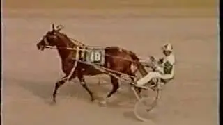 Bill-Haughton-One