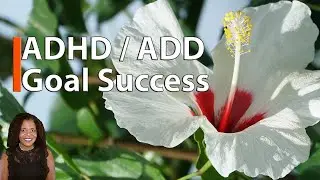 5 Goal Success Tips For People With ADHD / ADD