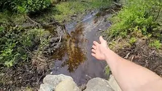 Lower Beaver Swamp And Surrounding Area Relocated Possibly? Update Video