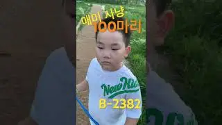 [B-2382]올 해 첫 매미 : 100마리를 잡는다면??