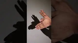 Shadow Flying Bird.#shortsvideo