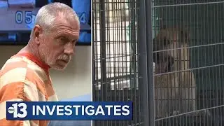 Court finds man at center of massive animal cruelty case is a flight risk