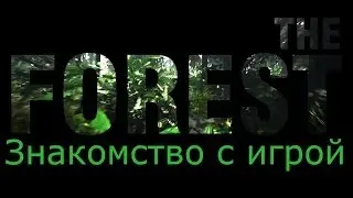 The Forest [Знакомство с игрой] (Публичная альфа v0.01)