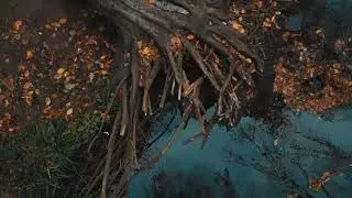 River   22672