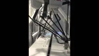 Fast line product sorting robot