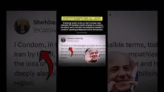 Did Pakistan PM Shehbaz Sharif Say 