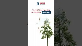 Protect Your Trees from Damage | Durable Tree Guards by Boston Fence