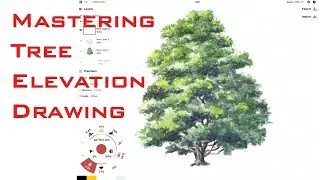 HOW TO MAKE TREE ELEVATION TEMPLATE IN CONCEPTS APP (Watercolor) on iPad Pro