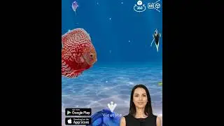 Visutate: Immersive experience app. Relax, calm, meditate via AR based virtual worlds