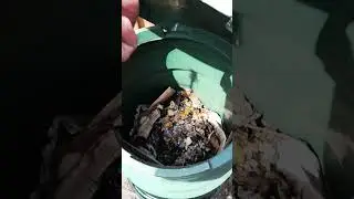keeping compost bin watered and fresh mixed worm hotel in garden composting for plants