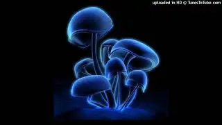 TECNO TRANCE RAVE