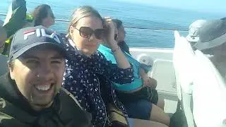 First time in Portugal 2025, Dolphins , Португалия