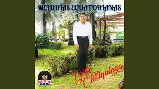 Alegre Melod&iacute;a, Por Las Calles de Cayambe, Lamento de mi &Oacute;rgano