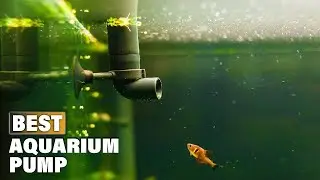 Top 10 Best Aquarium Pump On Amazon