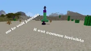 INTRO POUR LUFFY4600