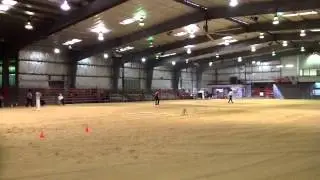 How to: Not Win Halter Obstacle