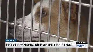 Top Stories: WKYT News at 5:30 PM (12/24/2025)
