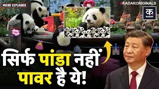 China Panda Diplomacy: जापान से वापस क्यों आ गए 2 पांडा? | Xi Jinping | Japan Return Panda