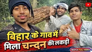 Mili Chandan ki lakadi....😯❓💯