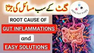 🔥 ROOTCAUSE of GUT INFLAMMATION & EASY SOLUTIONS | GUT HEALTH PAKISTAN | @healthyfixes6357