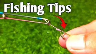Fishing Tips for Bottom Fishing Rig - 100% Useful for all Fishermen
