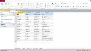 Databases with Microsoft Access 8 –Filter Data with Wild Cards * and ?