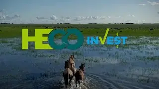 Promoting Open Innovation:&nbsp;#HeCoInvest, a sustainable business model