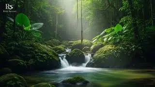 River Sounds for Sleep and Calm Mind | Gentle Natural Water Flow White Noise